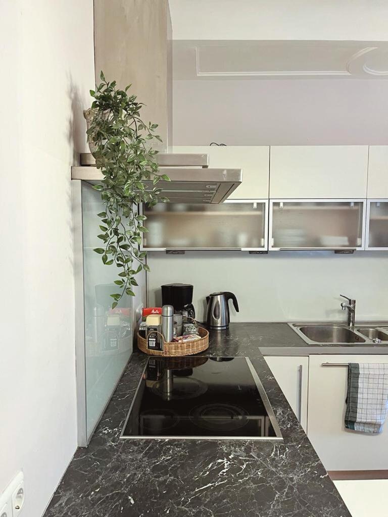 Taferne In Koestendorf - Ferienwohnung Monteurzimmer Neumarkt am Wallersee Exteriör bild